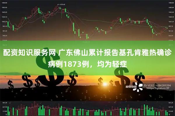 配资知识服务网 广东佛山累计报告基孔肯雅热确诊病例1873例，均为轻症