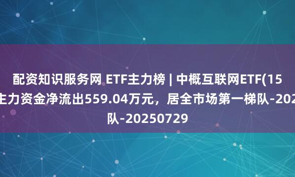 配资知识服务网 ETF主力榜 | 中概互联网ETF(159607)主力资金净流出559.04万元，居全市场第一梯队-20250729