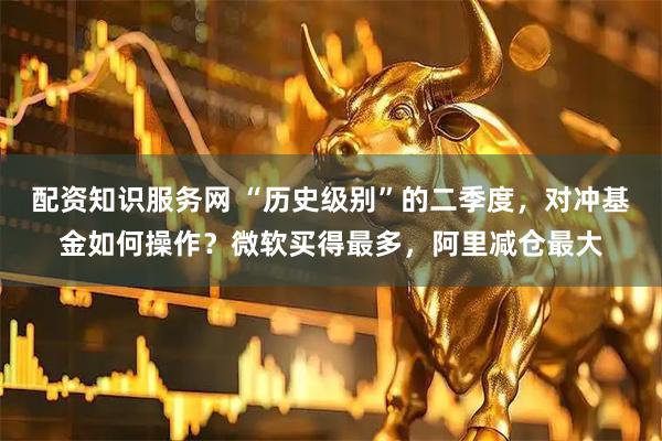 配资知识服务网 “历史级别”的二季度，对冲基金如何操作？微软买得最多，阿里减仓最大